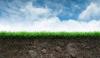 芝生に肥料を与える：適切な時期はいつですか？