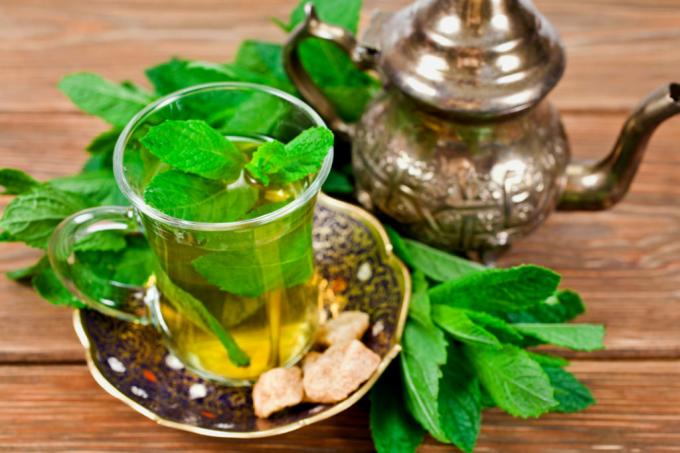Hortelã marroquina em copo de chá com pote