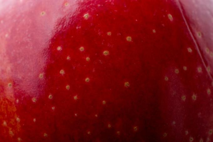 Raudonas obuolys su rūdžių dėmėmis