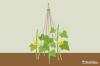Направете сами помощно средство за катерене на краставици: инструкции за изграждане