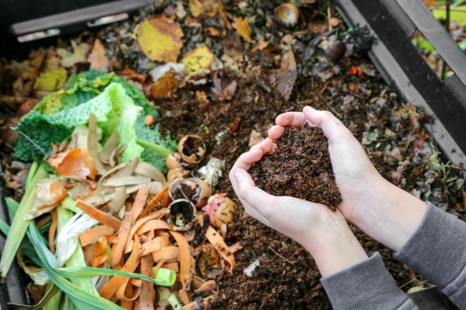 Fertilizzante per compost