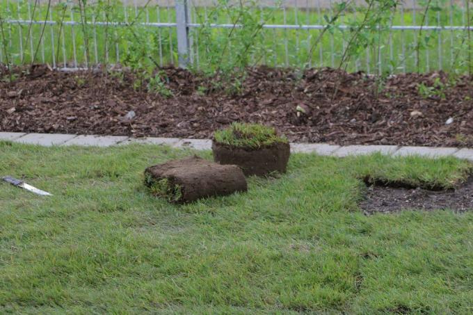 Réparer la pelouse trouée avec du gazon