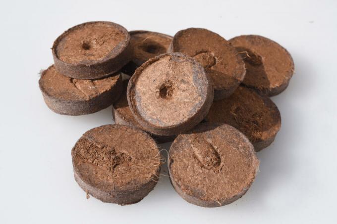kokos-hævelse-tabletter-eller-jord