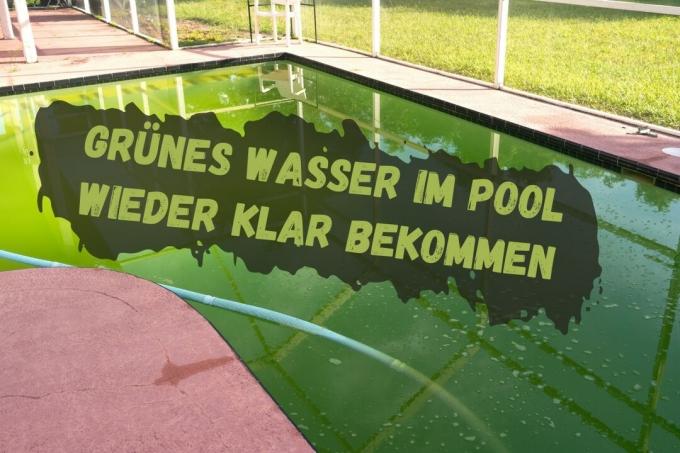 Zaļā ūdens iegūšana baseinā - nosaukums