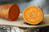 Sweet Potato: Tips on Growing, Harvesting & Storage