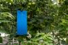 Blue boards: Blue glue boards for insect control