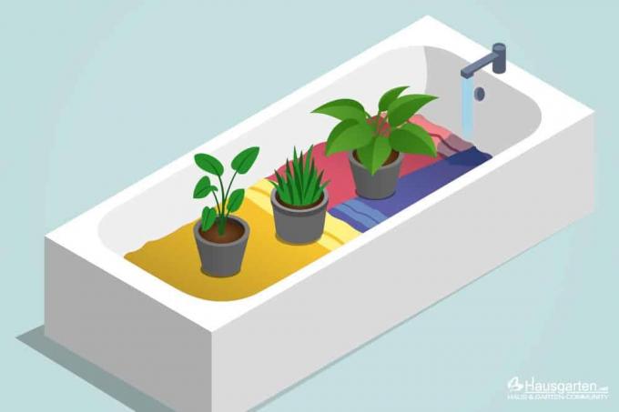 automatic watering - bathtub principle