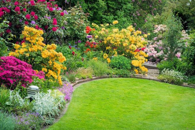 Jardin avec une pelouse verte et des fleurs épanouies
