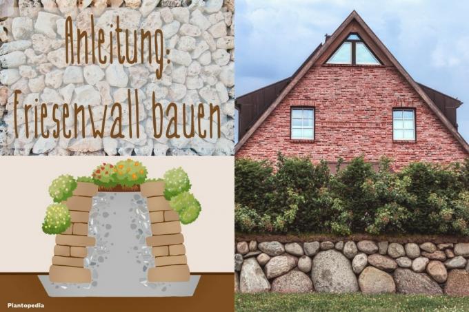 Building Friesenwall -Titul