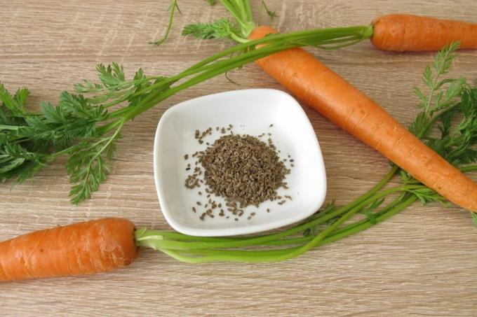 Seeds with carrots