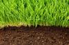 芝生用土壌活性剤：用途と製品の推奨