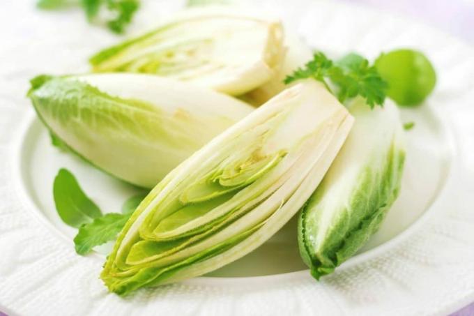 Sliced ​​chicory salad as vegetables with C