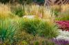 Diamentowa trawa: Idealni partnerzy roślinni do promiennego ogrodu