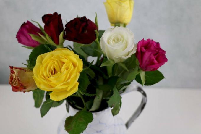 cięte róże z ogrodu jako ozdoba wazonu