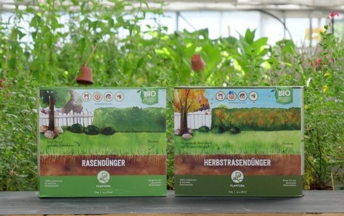 Fertilizer boxes in a greenhouse