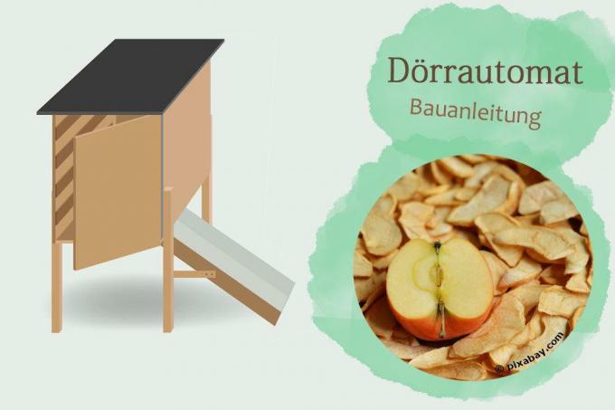 Build your own dehydrator