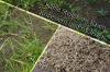 Reparer og genså skaldede pletter i græsplænen