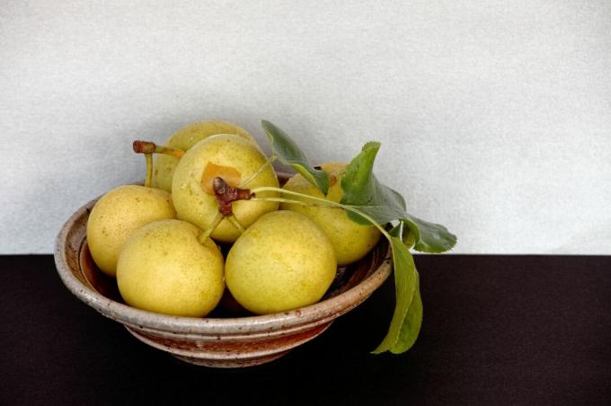Αχλάδια ποικιλίας Shinseiki Nashi