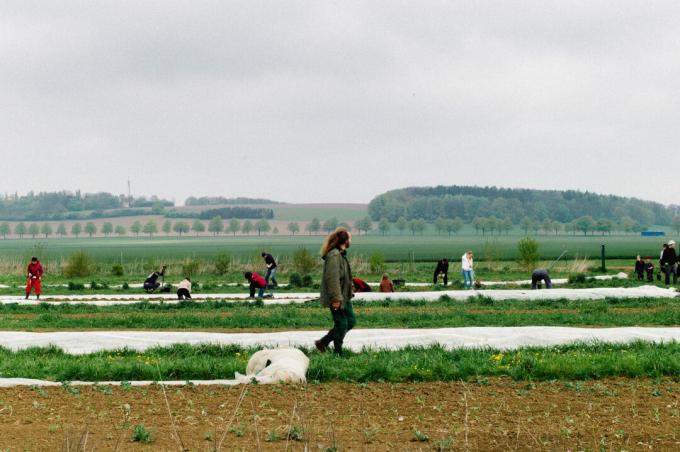 Solawi Hannover solidārā lauksaimniecība