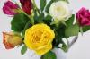 押し花とドライフラワー：バラとエーデルワイスの作り方