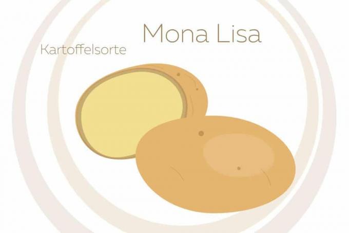Varietà di patate Monna Lisa