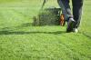 Klippning av gräsmattan eller mulching av gräsmattan: vilket är bättre?