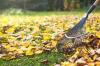 Remove leaves from the lawn or leave them lying around?
