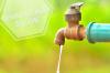 Sistemas de irrigação para plantas apresentadas