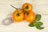 Auriga tomat: odling och skötsel av den orange tomaten