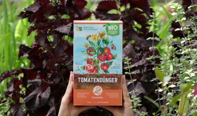 Fertilizante orgánico para tomates Plantura