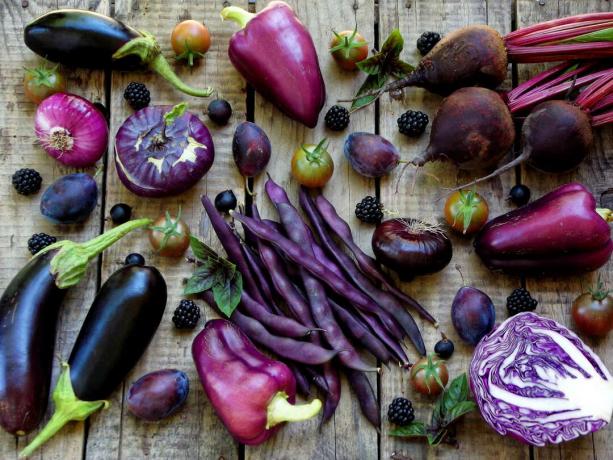 Erilaisia ​​violetteja vihanneksia