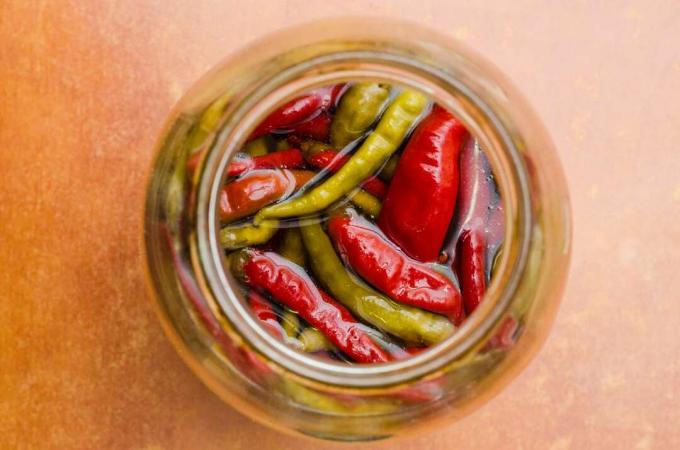 Chilies pickled in oil