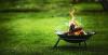 Pepel kot gnojilo: uporaba lesnega pepela na vrtu