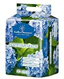 Floragard Endless Summer Hydrangea Soil blue 20 ליטר