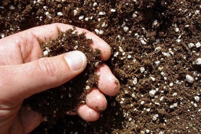 Déterminer la qualité du sol - test de frottement sur le sol du jardin