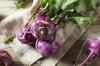 알 줄기 양배추 심기: 재배, 관리 및 수확