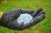 Fertilizando gramados com grão azul: uso e desvantagens