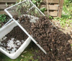 kompost sitowy