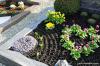 שתילת קבר באביב: 12 צמחים דמויי אביב לקברים