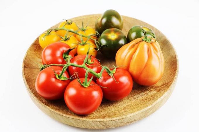 Tomater - Solanum lycopersicum