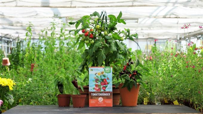 Engrais organique pour tomates Plantura avec des plantes