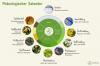 Fenologisk kalender: hagekalenderen din