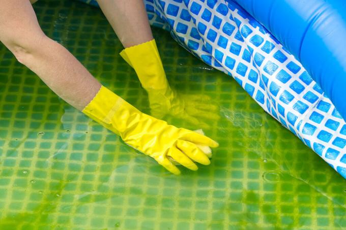 medence-alga-eltávolítani-házi gyógymódok