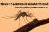 Nye insekter i Tyskland: fra 2020