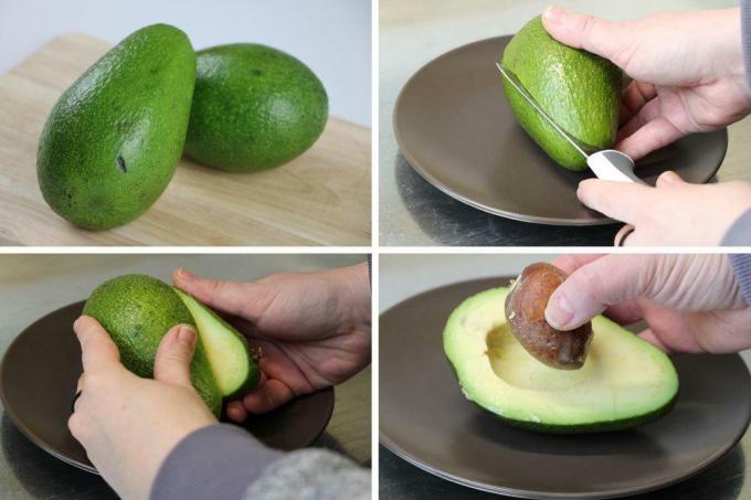 Løsn avocadofrøene