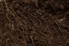 Mycorrhizal Fertilizer: Properties & Application