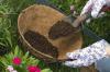 Sustitutos de la turba: 11 alternativas a la turba en el suelo