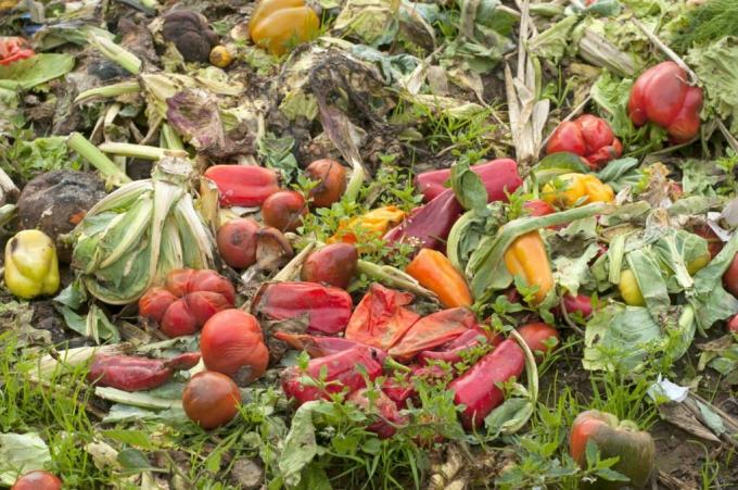 Rådnende grøntsager på kompost