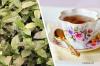 גידול תה משלך: גדל את צמח הקמליה סיננסיס