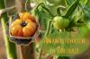 Potret tomat nanas: rasa dan varietas